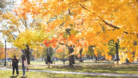 Walking to class in the fall.